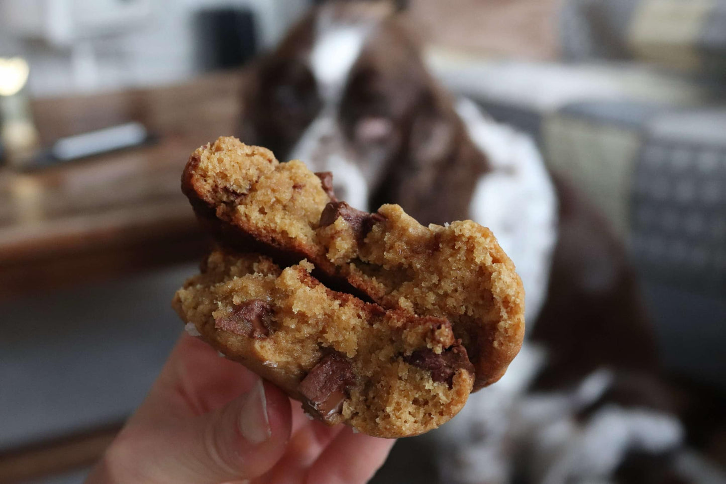 Vegansk chocolate chip