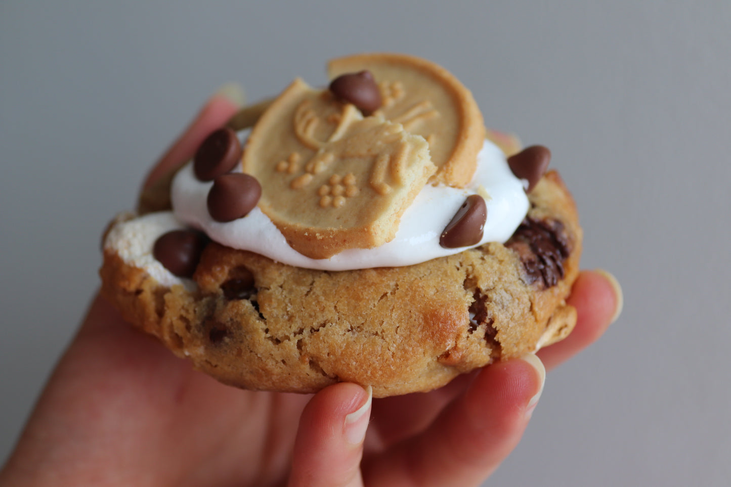 Chunky smores