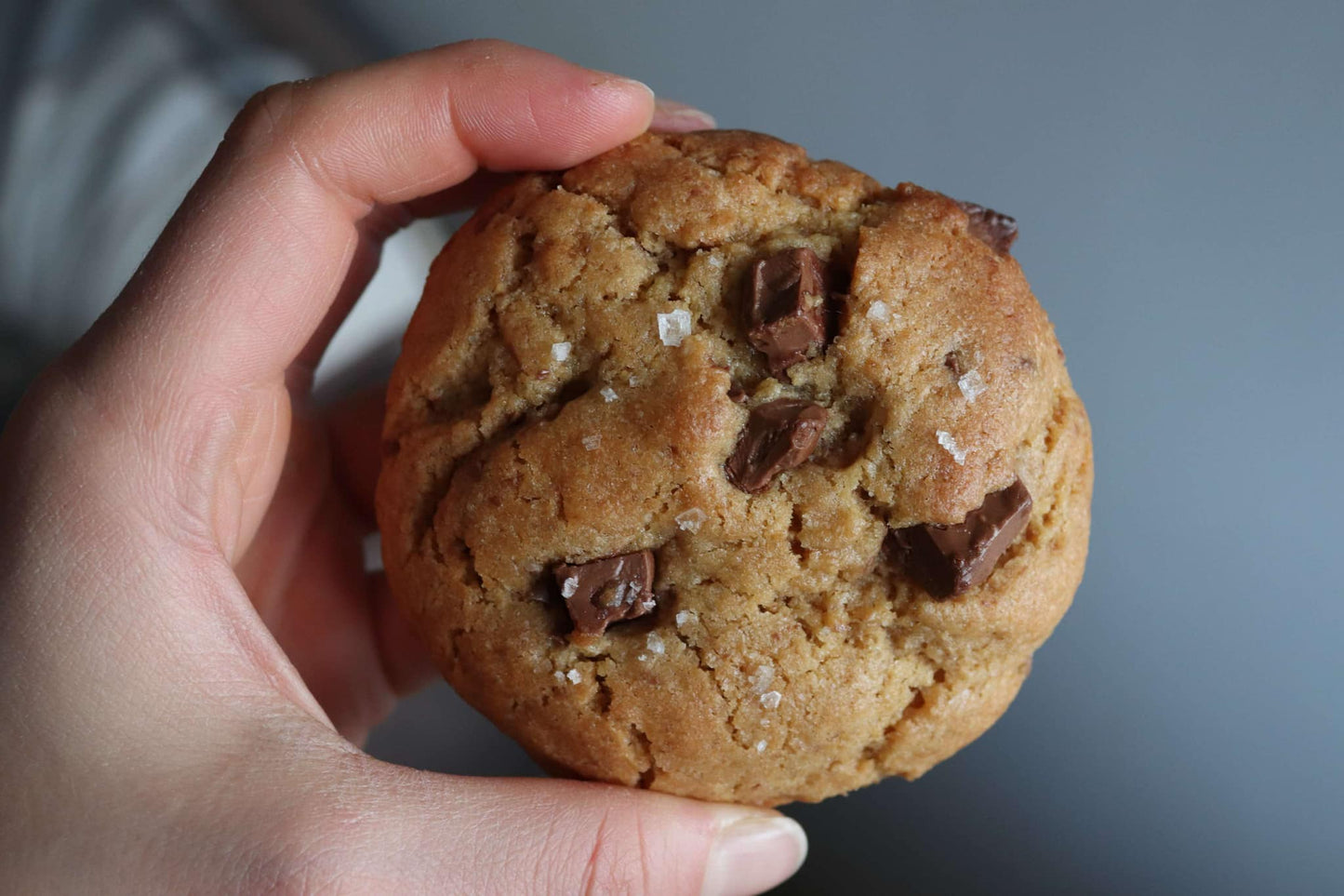 Sea salt chocolate chip