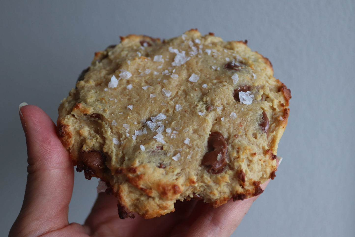 Protein Cookie