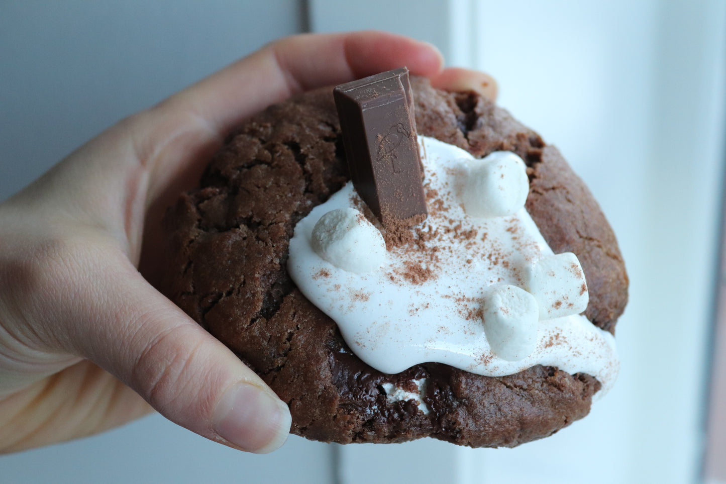 Hot chocolate cookie